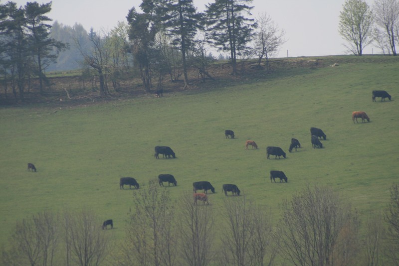 Vysočina Dalečín 26.4.2008